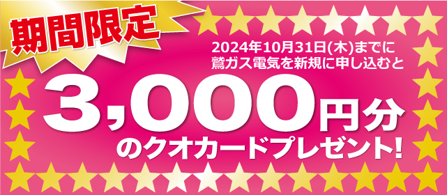 鷲ガス電気を新規に申し込むと3,000円分のQUOカードをプレゼント！